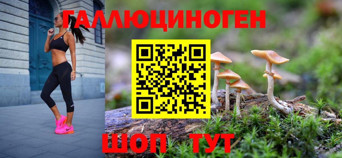 ГАШ Ачхой-Мартан