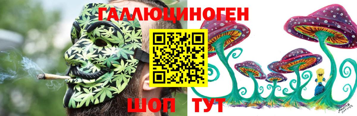Псилоцибиновые грибы GOLDEN TEACHER Ачхой-Мартан