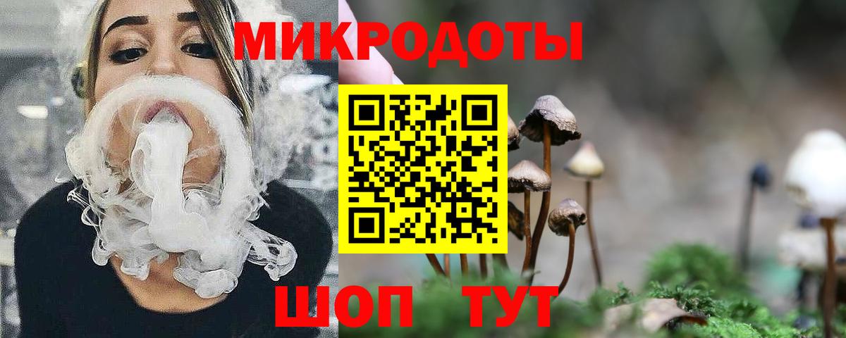 магазин продажи наркотиков  Вход с VPN  Ачхой-Мартан  Псилоцибиновые грибы Psilocybe 