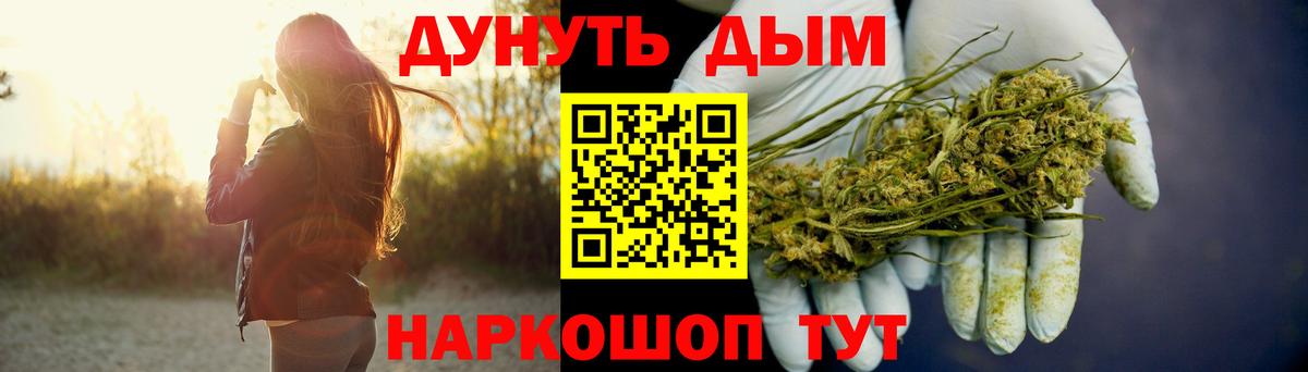 Ачхой-Мартан  Бошки Шишки MAZAR  Канабис сатива  Вход с VPN 